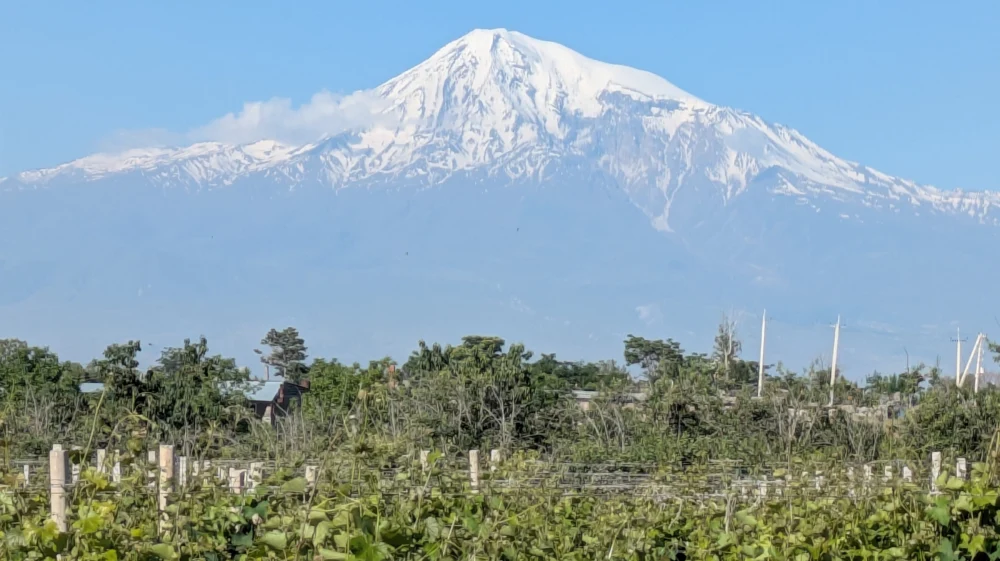 Greenery and a faint big mountain with a bright snowy top in the background